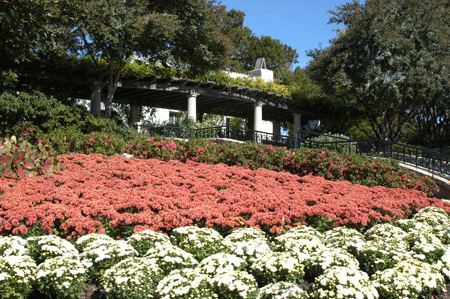 Dallas Arboretum and Botanical Gardens - Degoyler Garden