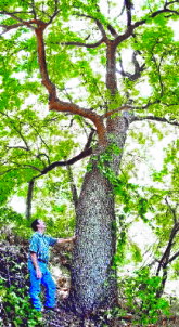 Photo: STAR-TELEGRAM / PAUL MOSELEY